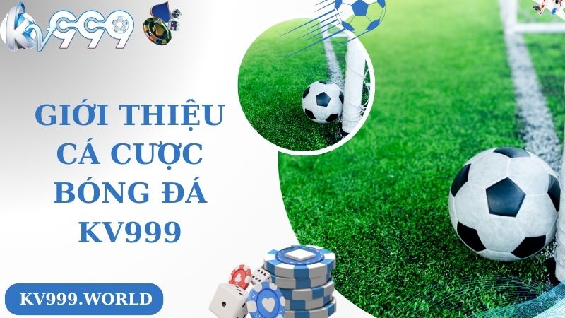 Giới thiệu về chuyên mục