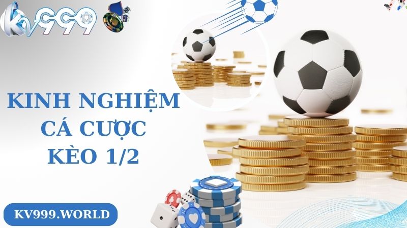 Bí quyết cá cược hay